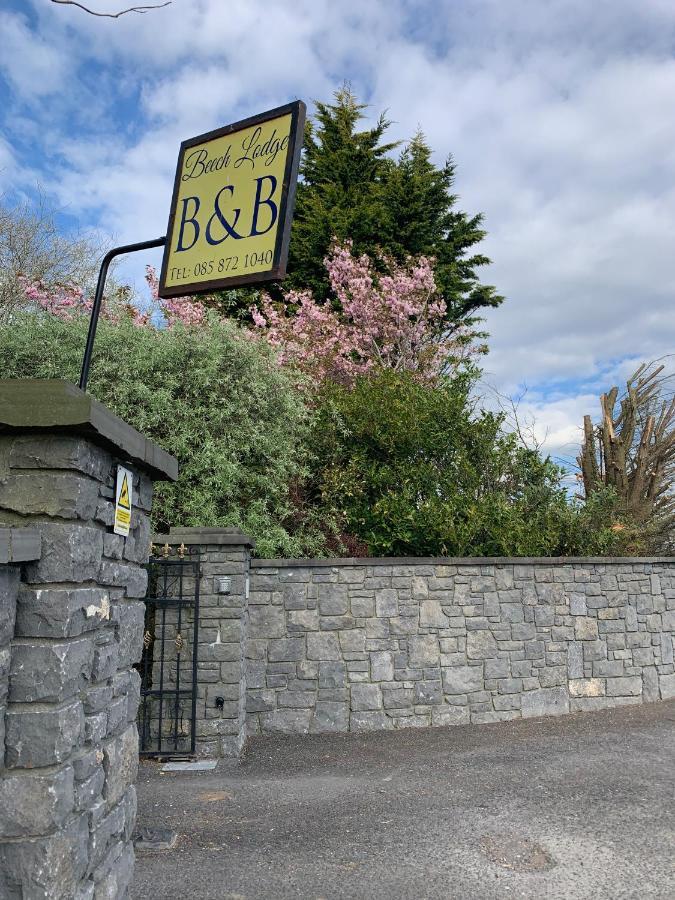 Beech Lodge B&B Lisheenanoran Dış mekan fotoğraf